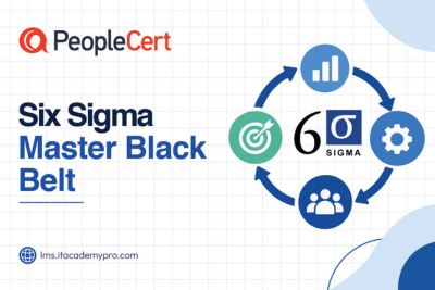 Six Sigma Master Black Belt (SSMBB)